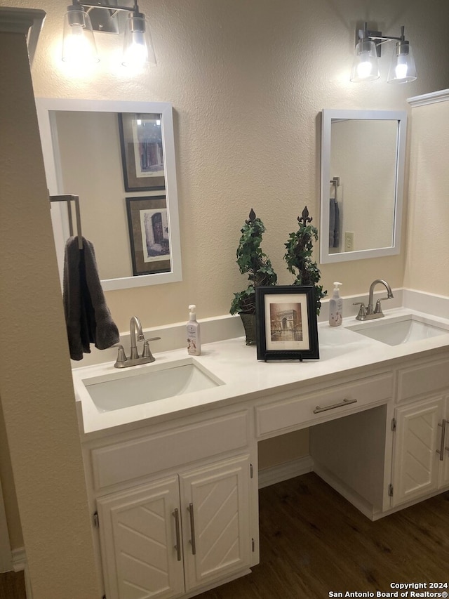 bathroom with double vanity, wood finished floors, and a sink