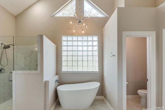 bathroom with toilet, plenty of natural light, a stall shower, and a freestanding bath