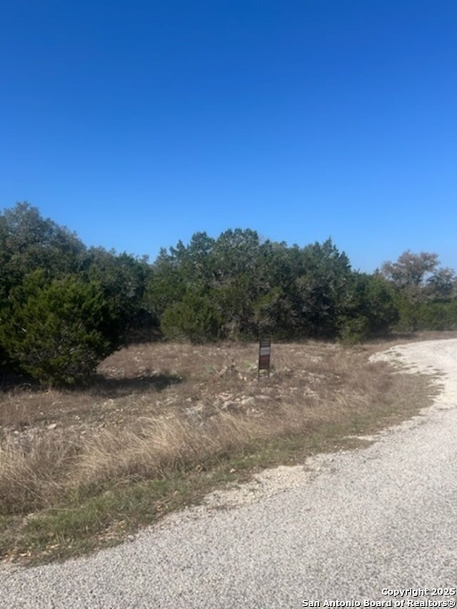 Listing photo 2 for 165 Indian Blanket, Spring Branch TX 78070