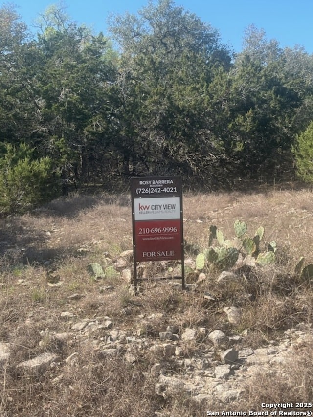 Listing photo 3 for 165 Indian Blanket, Spring Branch TX 78070