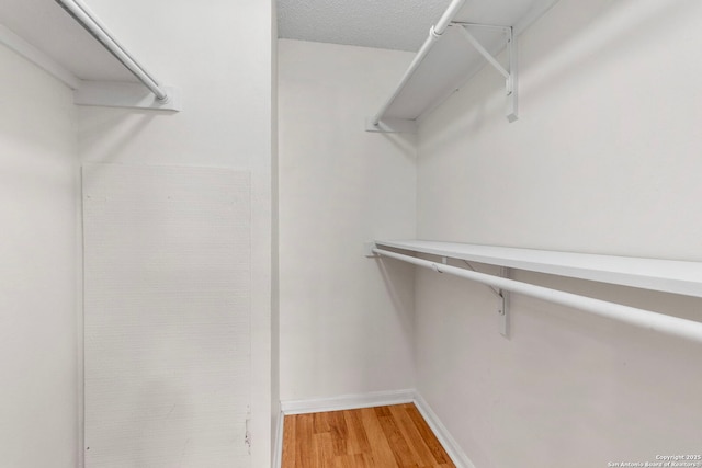 walk in closet with light wood-style flooring