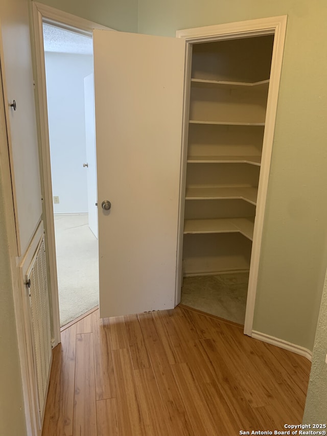 closet featuring visible vents