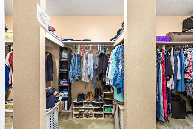 walk in closet with carpet