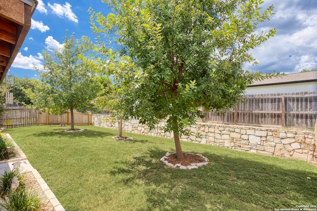 view of yard with a fenced backyard