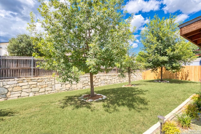 view of yard with a fenced backyard