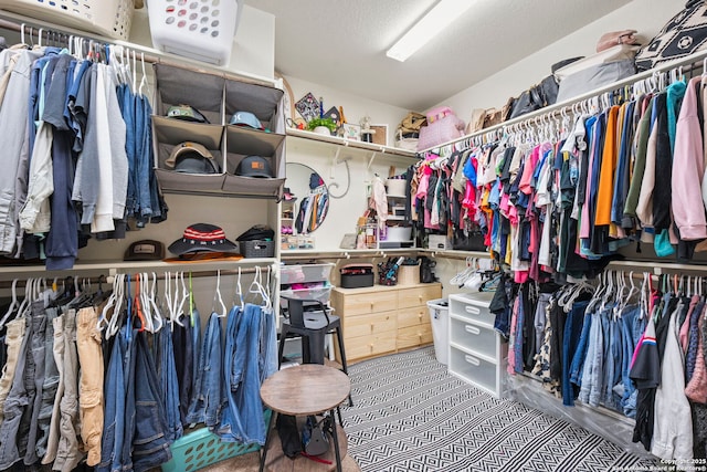 view of spacious closet