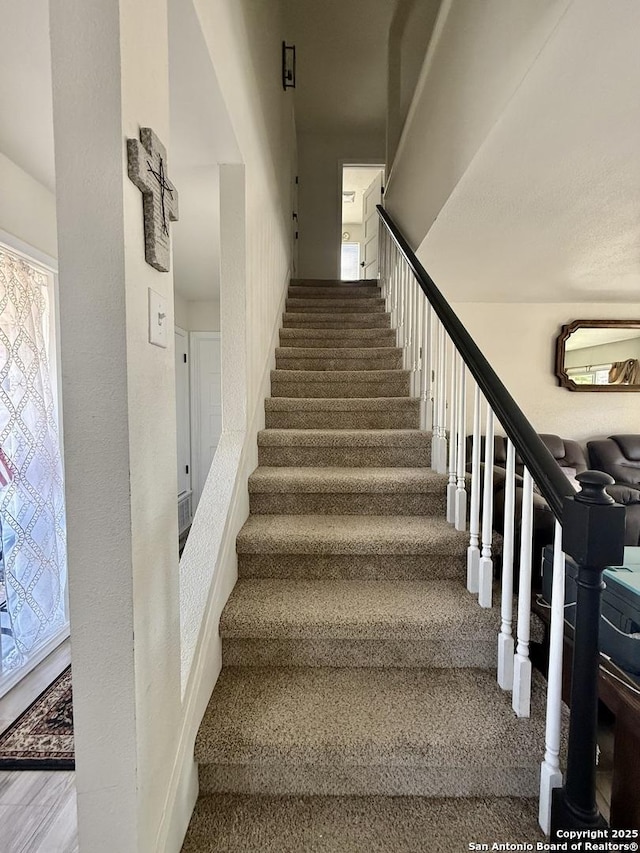 staircase featuring carpet