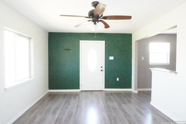 entrance foyer featuring plenty of natural light, baseboards, and wood finished floors