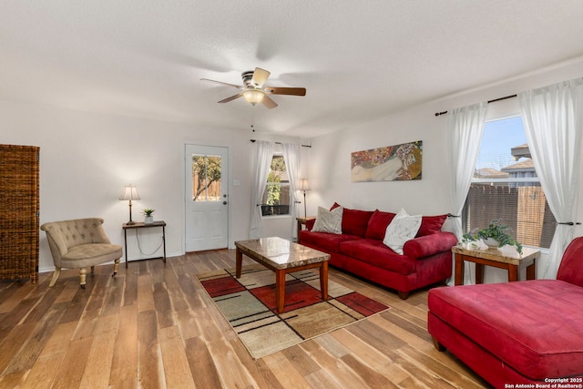 living room with a ceiling fan, wood finished floors, and a textured ceiling