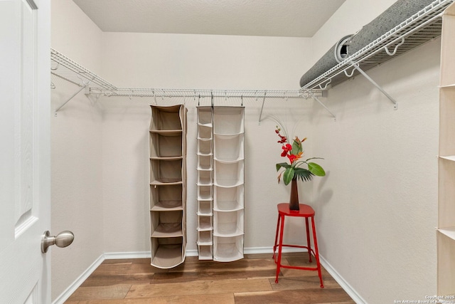 walk in closet with wood finished floors