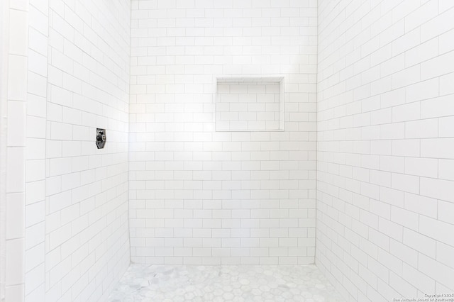 room details with tiled shower