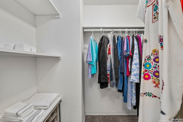 walk in closet with carpet