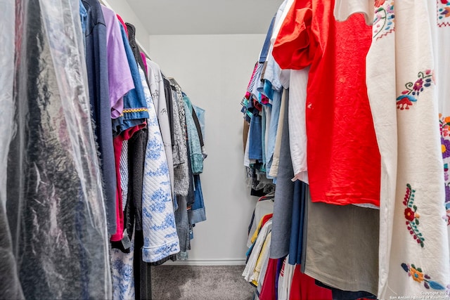 walk in closet featuring carpet floors