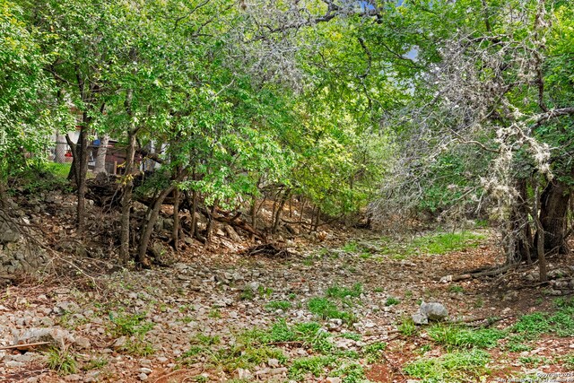 view of nature with a view of trees