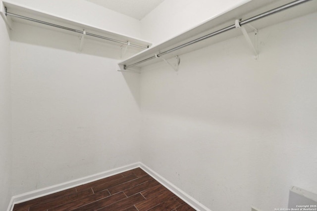 walk in closet featuring dark wood-type flooring