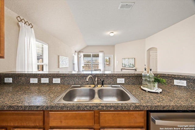 kitchen featuring a sink, visible vents, plenty of natural light, and stainless steel dishwasher