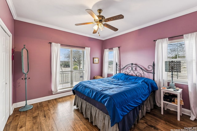 bedroom featuring multiple windows, baseboards, and wood finished floors