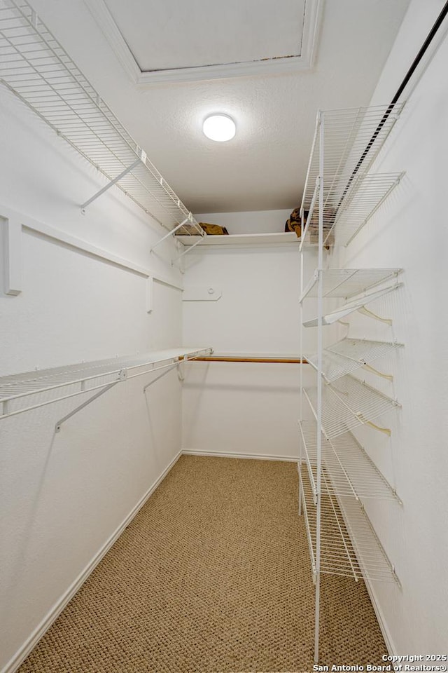 spacious closet featuring light colored carpet