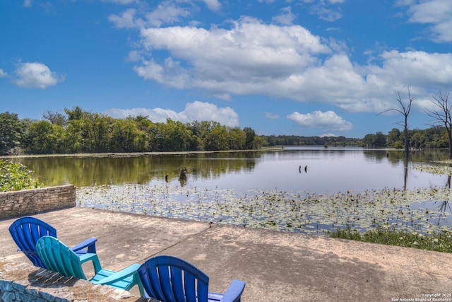 property view of water featuring a wooded view