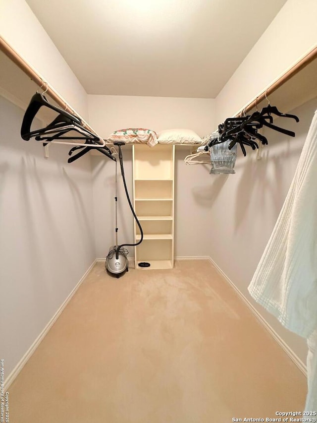 walk in closet with light colored carpet