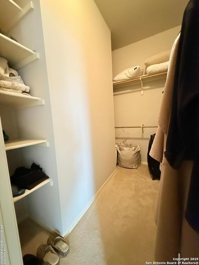 walk in closet featuring carpet flooring