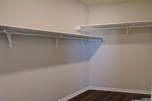 spacious closet featuring dark wood-style floors