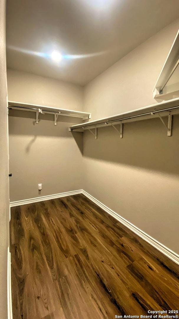 walk in closet with dark wood-type flooring