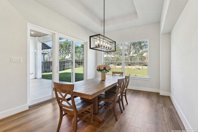 dining room with a tray ceiling, wood finished floors, and baseboards