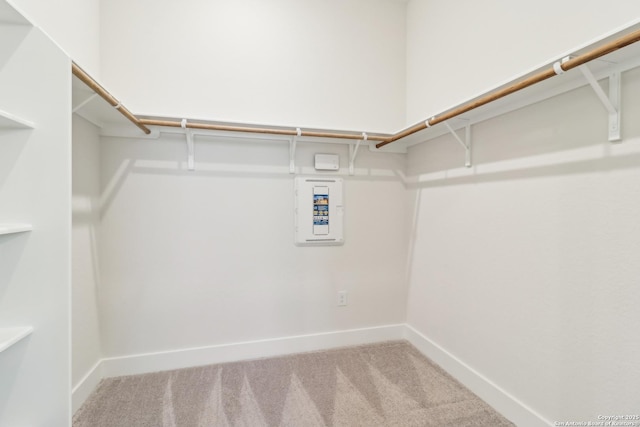 spacious closet with carpet floors