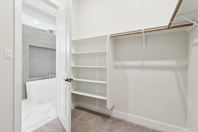 spacious closet featuring carpet floors