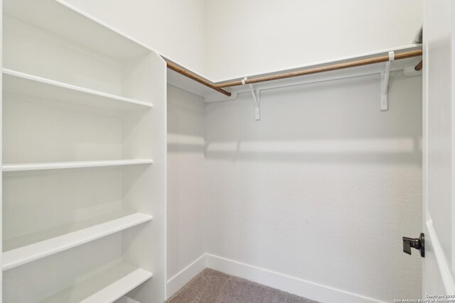 spacious closet featuring carpet floors