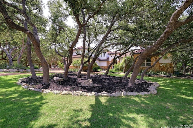 133 Fair Spgs, Boerne, TX 78006 - view of grassy yard