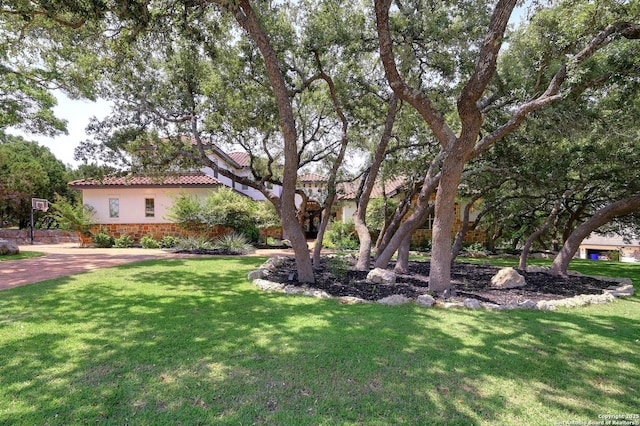 133 Fair Spgs, Boerne, TX 78006 - view of green lawn
