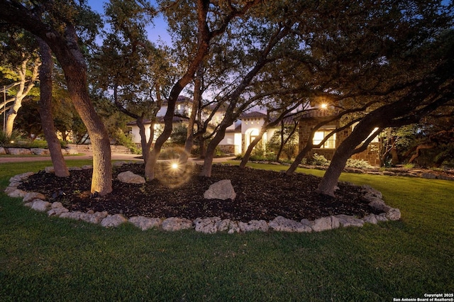 133 Fair Spgs, Boerne, TX 78006 - view of grassy yard