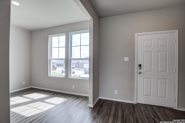 foyer entrance featuring dark wood-type flooring, plenty of natural light, and baseboards