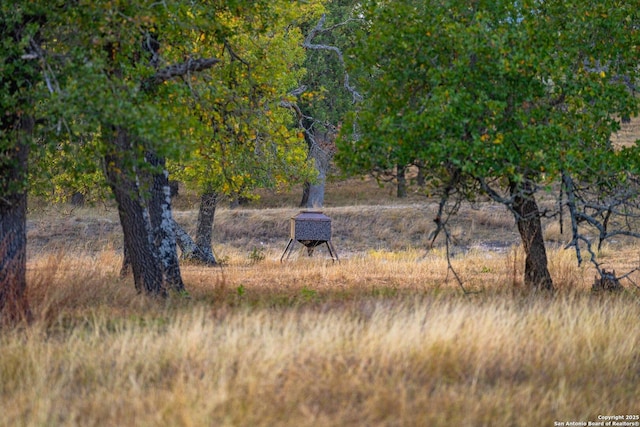 view of landscape