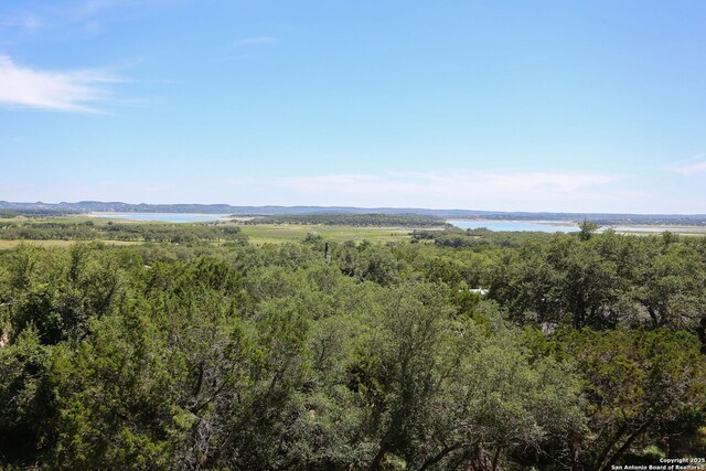 650 Canyon Cir, Canyon Lake, TX 78133 - bird's eye view of a nearby body of water and a heavily wooded area