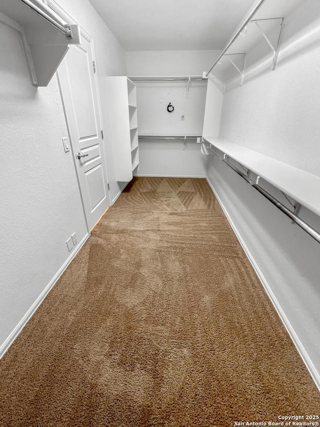 walk in closet with carpet flooring