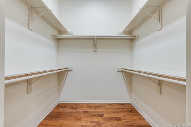 spacious closet featuring wood finished floors