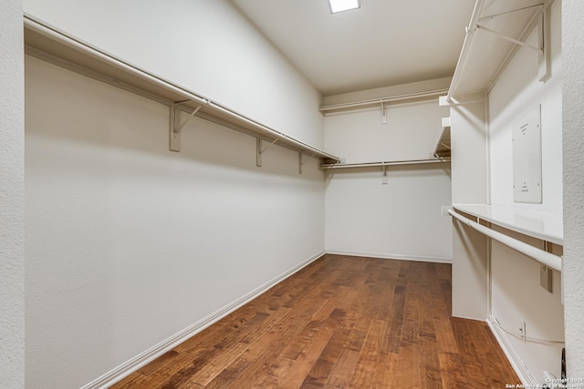 walk in closet featuring dark wood finished floors