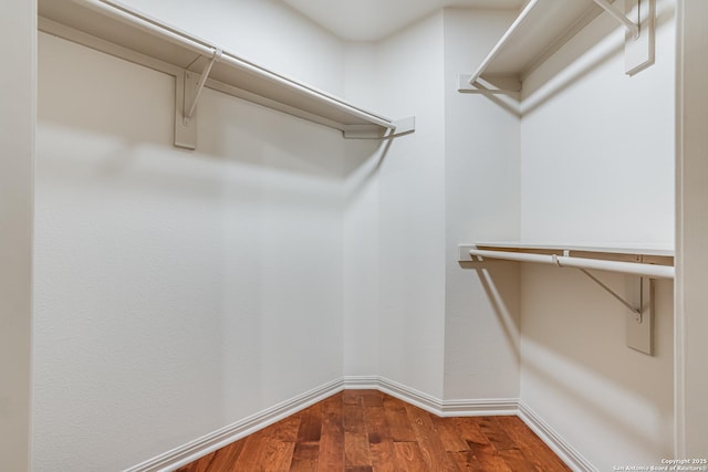 spacious closet featuring wood finished floors