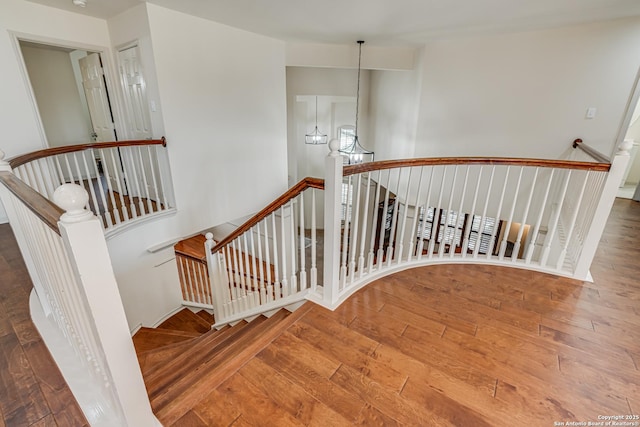 stairway featuring wood-type flooring