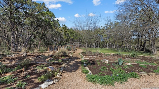 view of yard featuring a garden