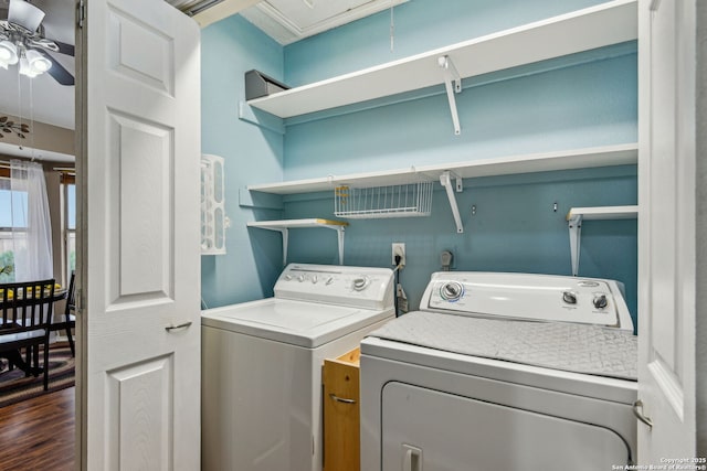 washroom with dark wood-type flooring, a ceiling fan, washing machine and dryer, and laundry area