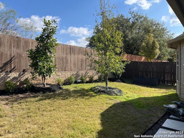 view of yard with a fenced backyard