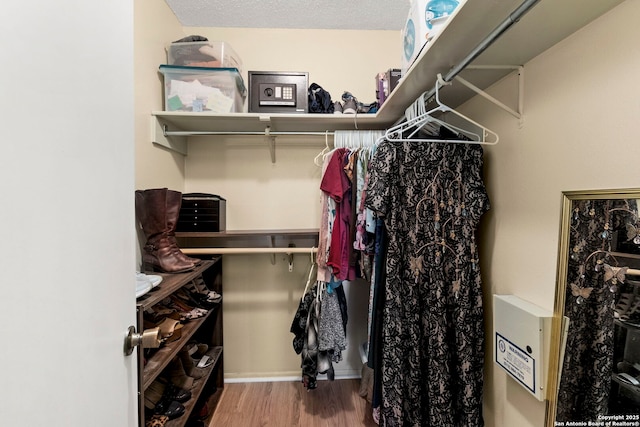 walk in closet featuring wood finished floors