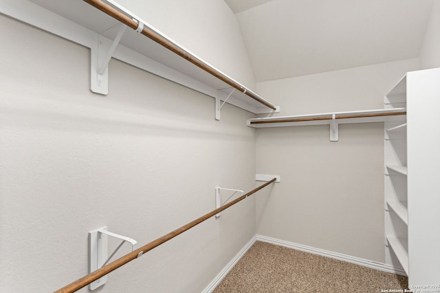 walk in closet featuring carpet