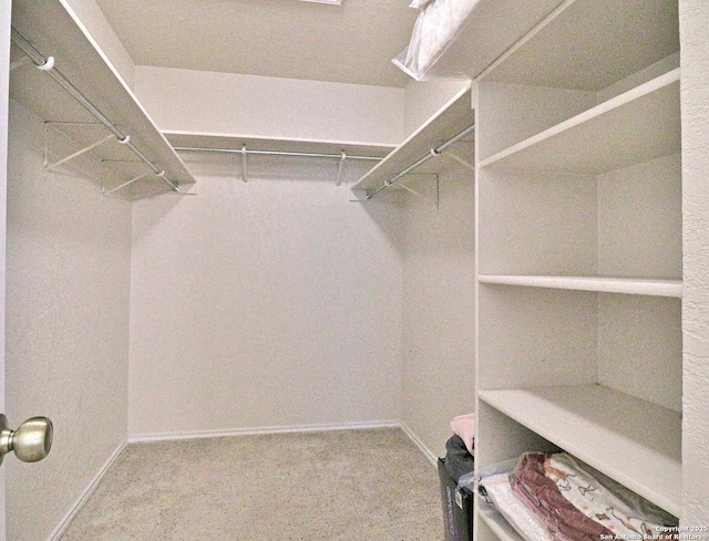 walk in closet featuring carpet floors