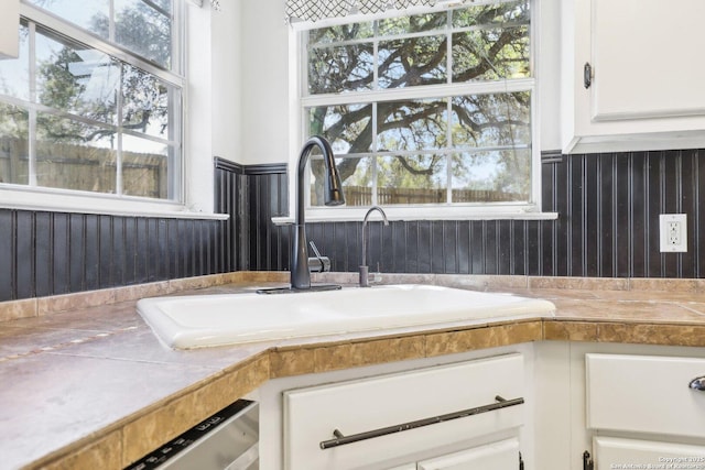 details featuring a sink, stainless steel dishwasher, white cabinets, and light countertops