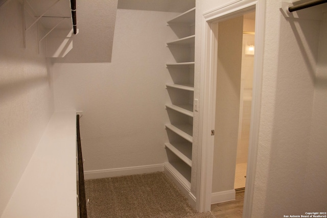 walk in closet featuring carpet floors